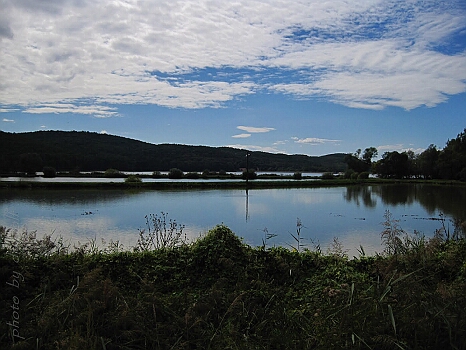 IMG_3561