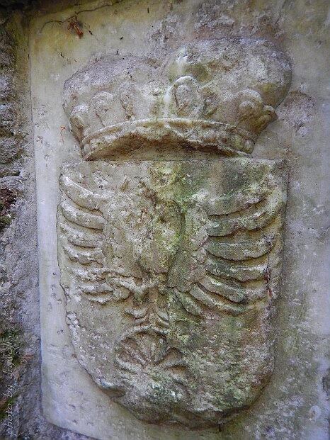 DSCN1446