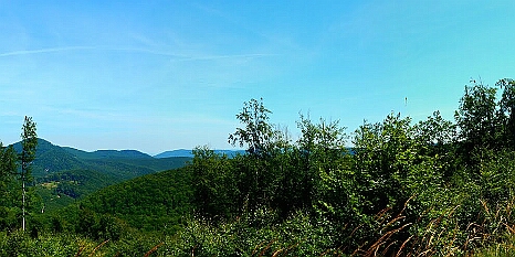 DSCN3043p