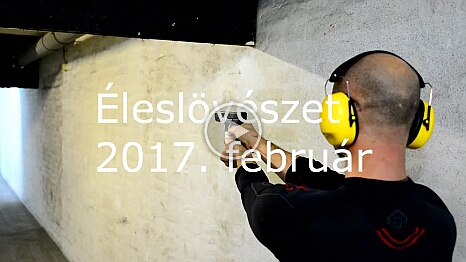 2017gun