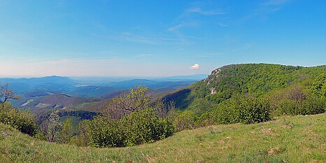 DSCN7213p