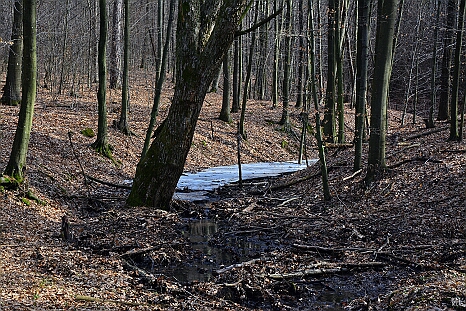 DRY_0548