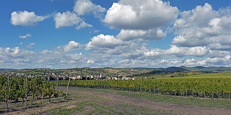 P1000730p