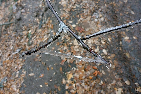 P1020970