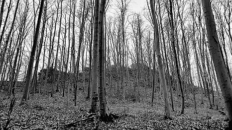 20201220_125546