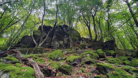 20201011_091723