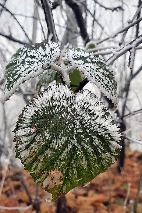 20211127_105518