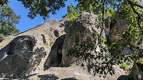 PXL_20230812_083837700