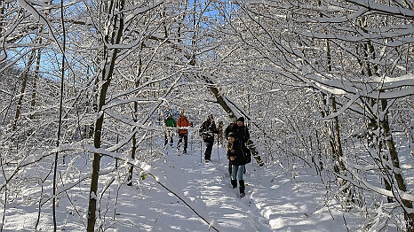 PXL_20241123_081819105