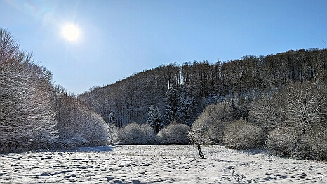 PXL_20241123_083915484
