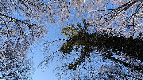 PXL_20241123_100722673