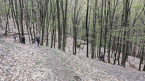 PXL_20250412_092138523