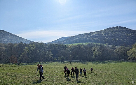 PXL_20250405_073015728