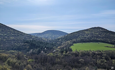 PXL_20250405_073540162