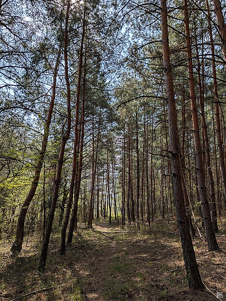 PXL_20250405_091149024