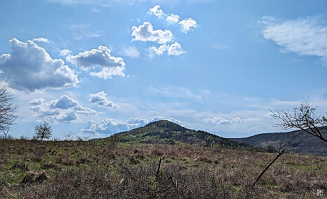 PXL_20250405_094808471