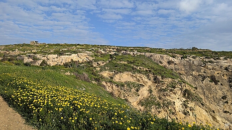 PXL_20250221_072207960