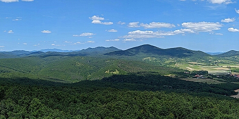 PXL_20250621_105913817