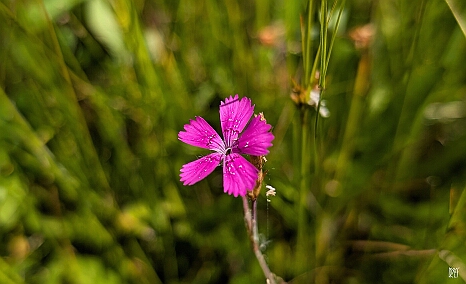PXL_20250621_125942465