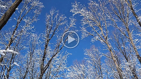 PXL_20250111_100325959
