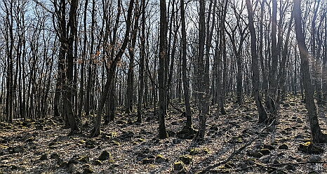 PXL_20250308_130522723