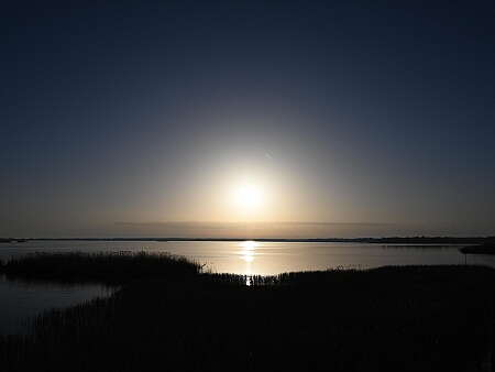 2025. április - Tisza-tó, Magyarország