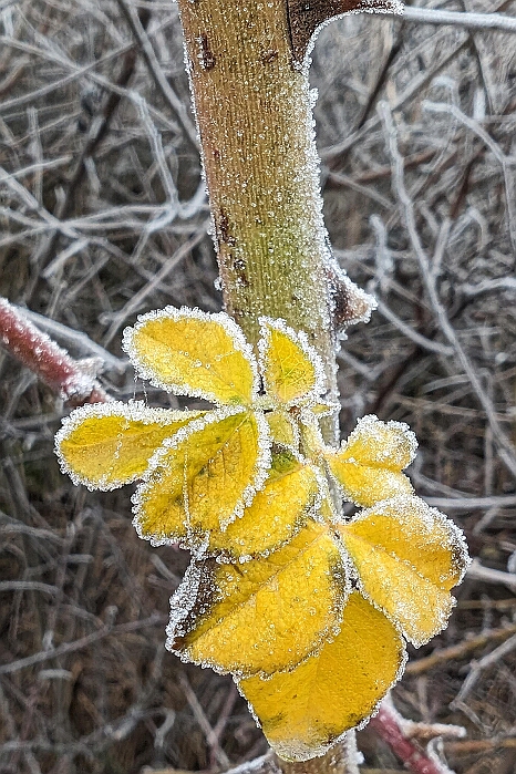 PXL_20231231_082419047