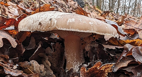 PXL_20231231_094034163