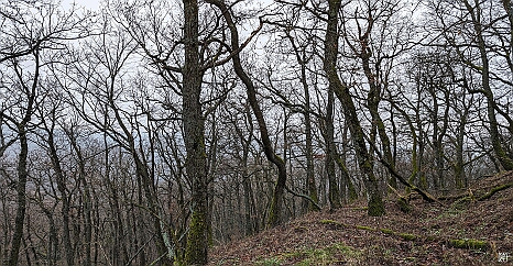 PXL_20231231_102325833