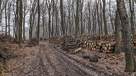 PXL_20231231_111525104