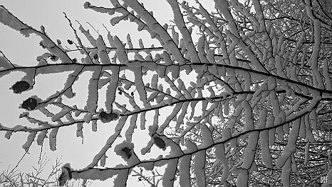 PXL_20231209_105944229