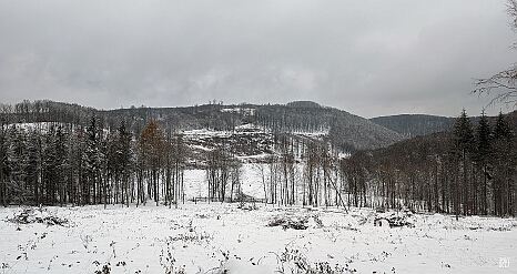 PXL_20231209_121856155