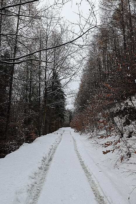 PXL_20231209_130806354