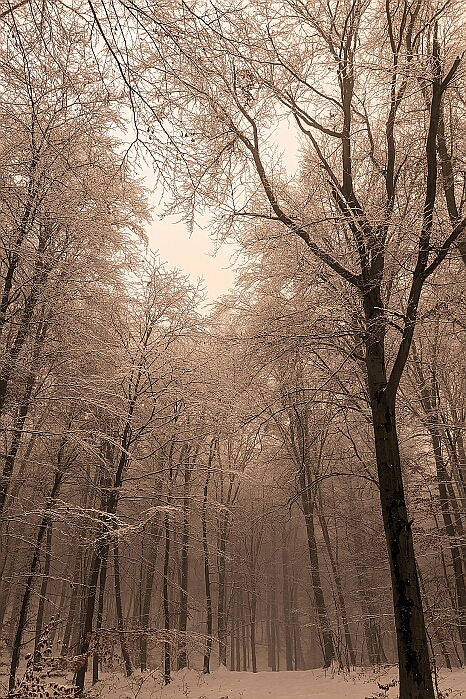 PXL_20231209_143153835