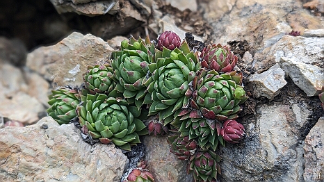 PXL_20240427_080954235