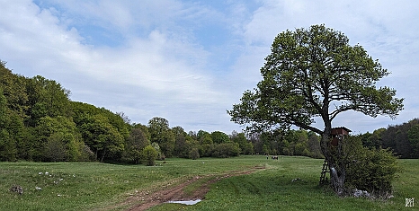 PXL_20240427_094851197