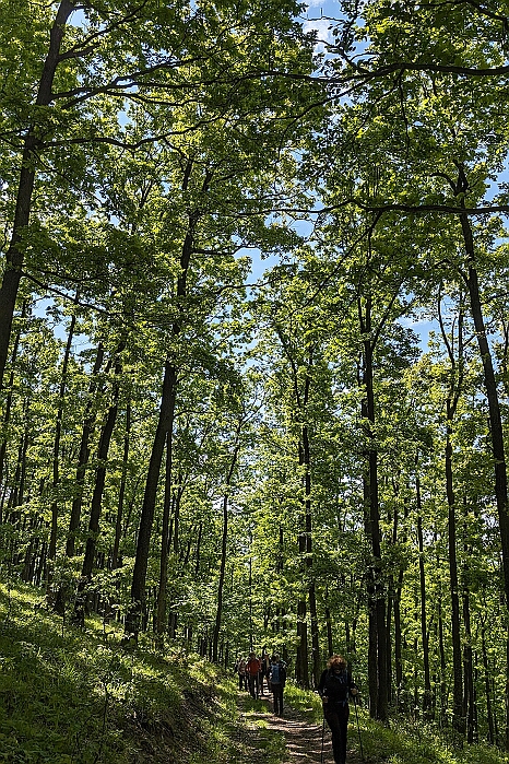 PXL_20240420_091952723
