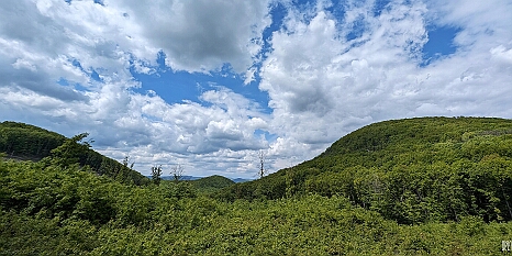 PXL_20240420_094235209