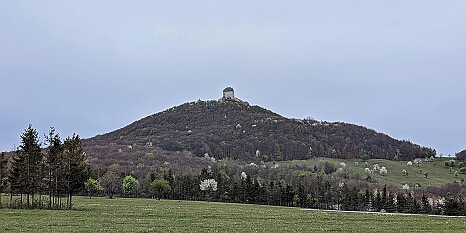 PXL_20240406_070336039
