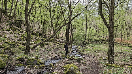PXL_20240406_083514457