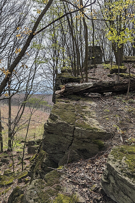 PXL_20240406_095914115