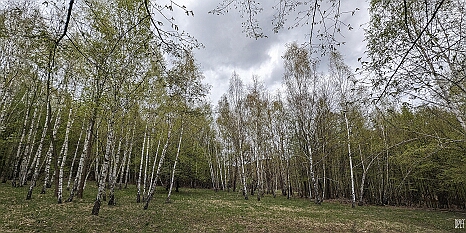PXL_20240406_103749949