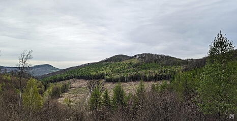 PXL_20240406_114933084