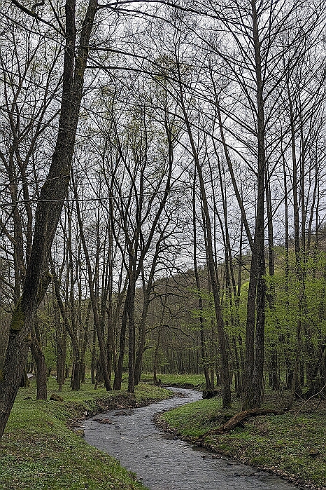 PXL_20240406_132512159