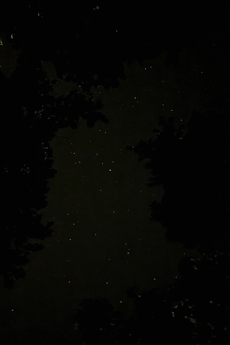 PXL_20240810_201019684.NIGHT