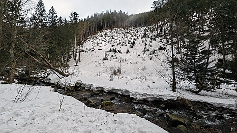 PXL_20240216_160101898