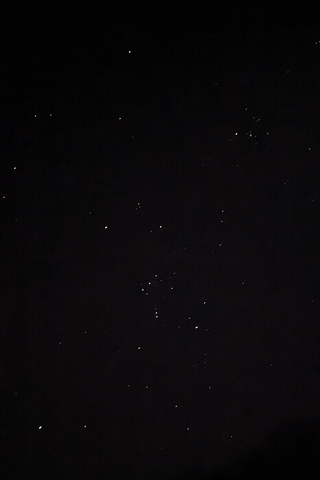 PXL_20240215_174027925