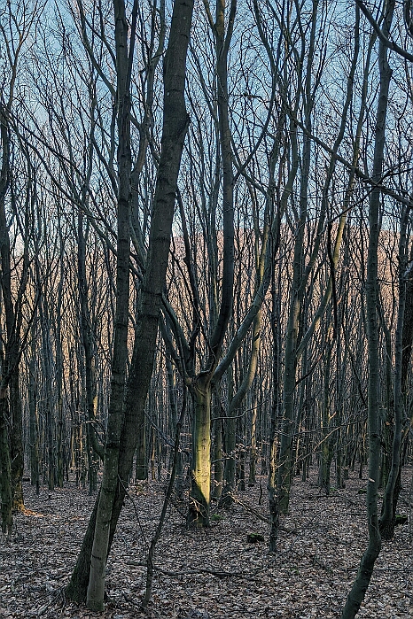 PXL_20240126_085700512