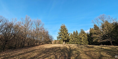 PXL_20240126_125237694