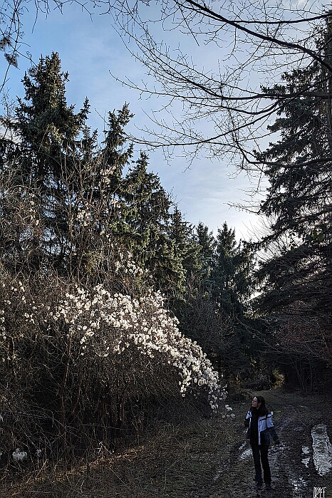 PXL_20240126_130304781